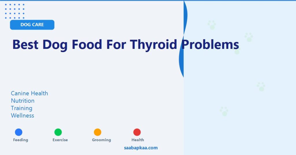 Best Dog Food for Thyroid Problems - saabapkaa.com
