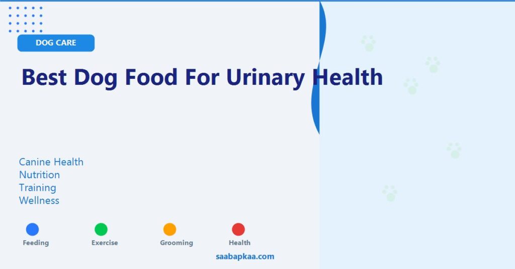 Best Dog Food for Urinary Health - saabapkaa.com