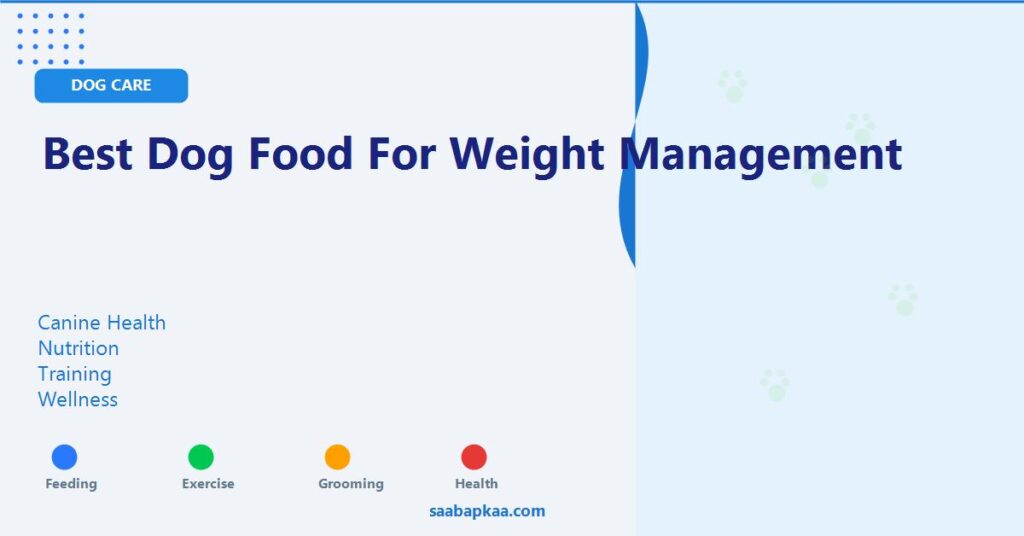 Best Dog Food for Weight Management - saabapkaa.com