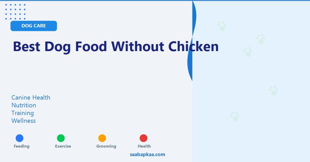 Best Dog Food Without Chicken - saabapkaa.com