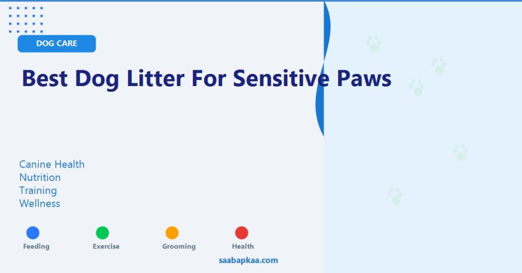 Best Dog Litter for Sensitive Paws - saabapkaa.com