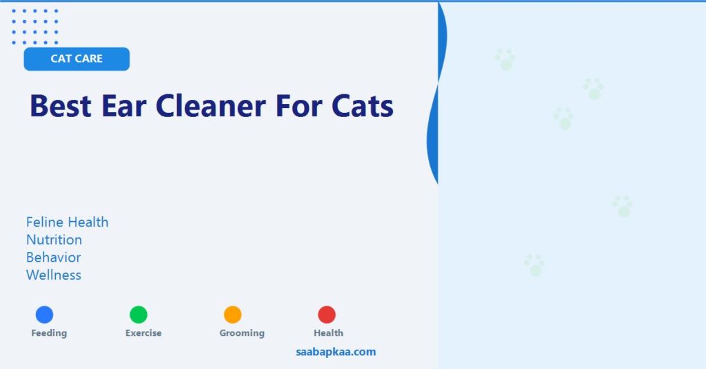 Best Ear Cleaner for Cats - saabapkaa.com