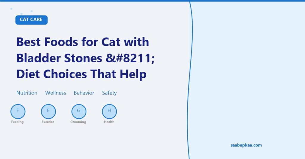 Best Foods for Cat with Bladder Stones – Diet Choices That Help Dissolve and Prevent Stones - saabapkaa.com