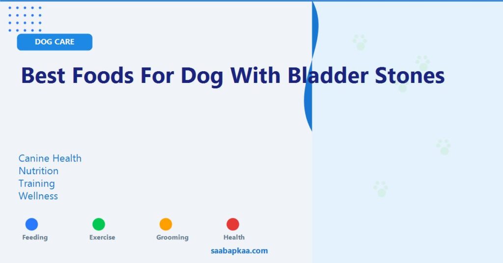 Best Foods for Dog with Bladder Stones - saabapkaa.com