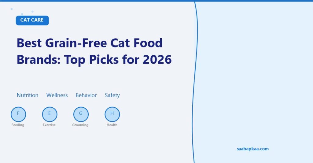 Best Grain-Free Cat Food Brands: Top Picks for 2026 - saabapkaa.com