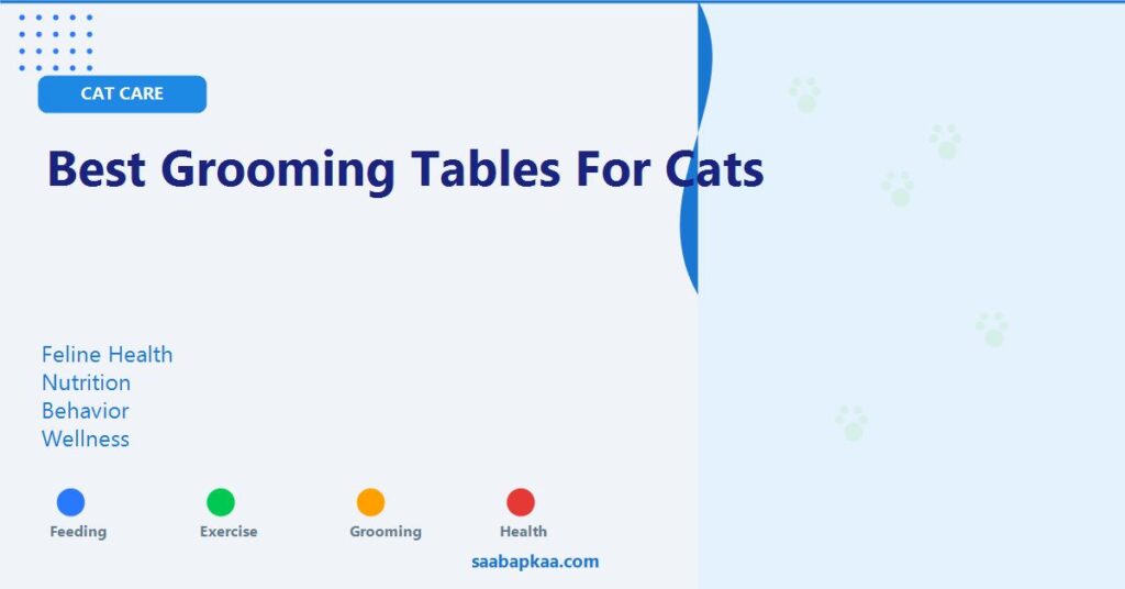 Best Grooming Tables For Cats - saabapkaa.com