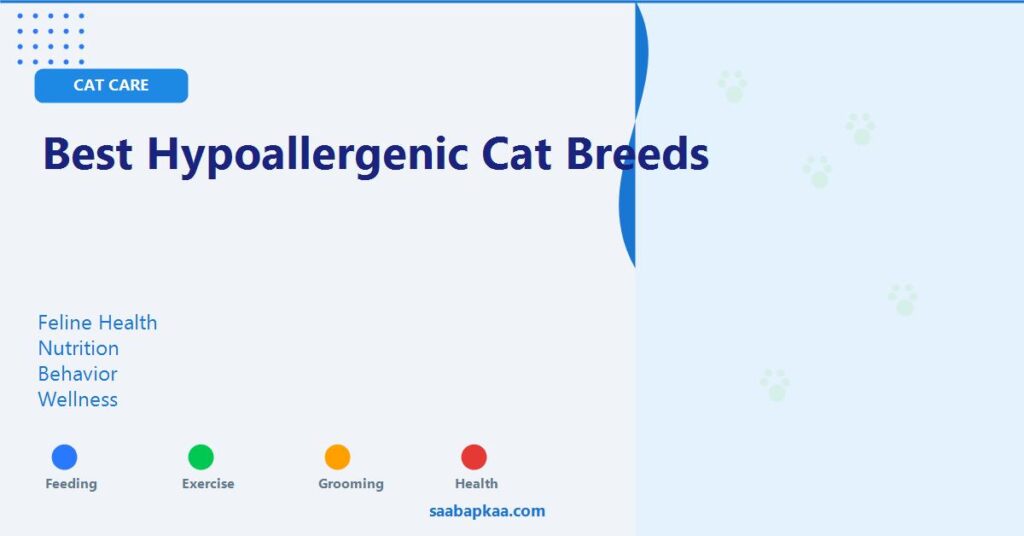 Best Hypoallergenic Cat Breeds - saabapkaa.com