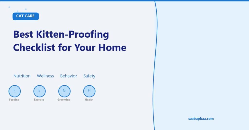 Best Kitten-Proofing Checklist for Your Home - saabapkaa.com
