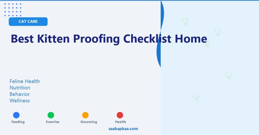 Best Kitten Proofing Checklist Home - saabapkaa.com