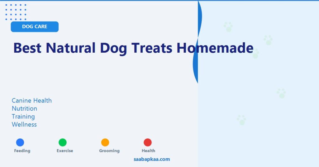 Best Natural Dog Treats Homemade - saabapkaa.com