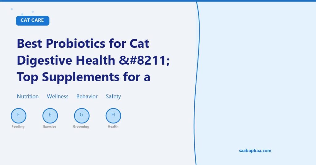 Best Probiotics for Cat Digestive Health – Top Supplements for a Happy Gut - saabapkaa.com