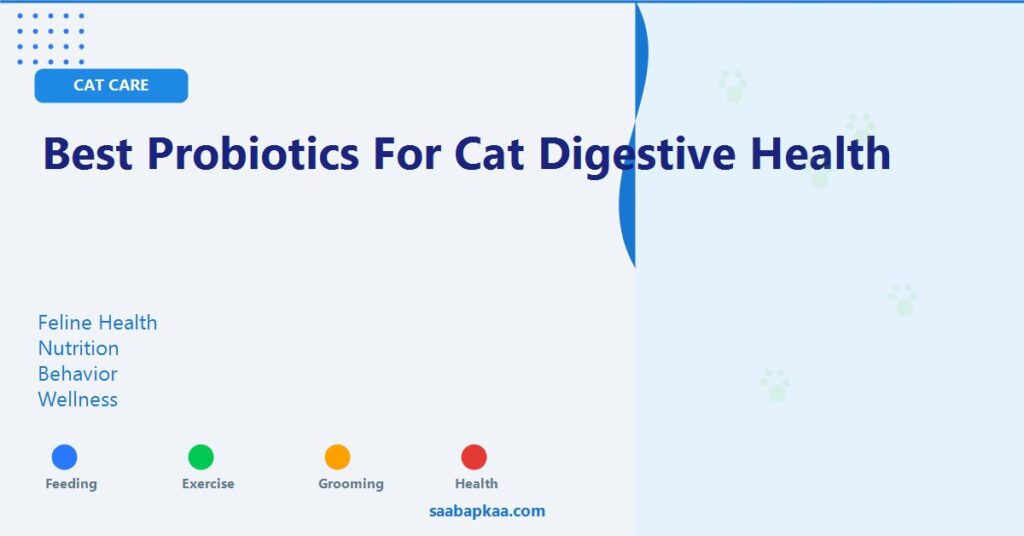 Best Probiotics For Cat Digestive Health - saabapkaa.com