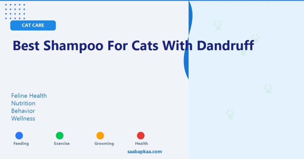 Best Shampoo for Cats with Dandruff - saabapkaa.com