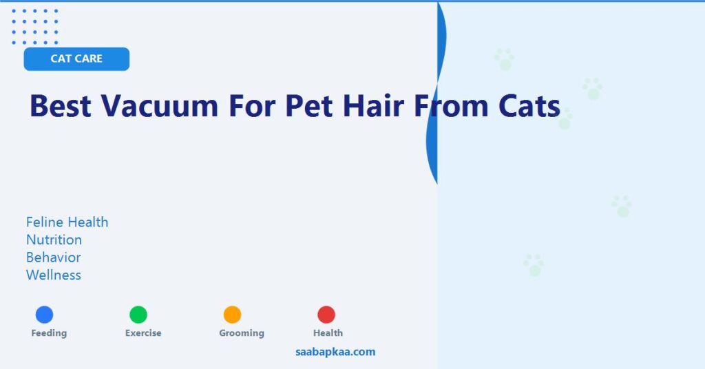 Best Vacuum for Pet Hair from Cats - saabapkaa.com
