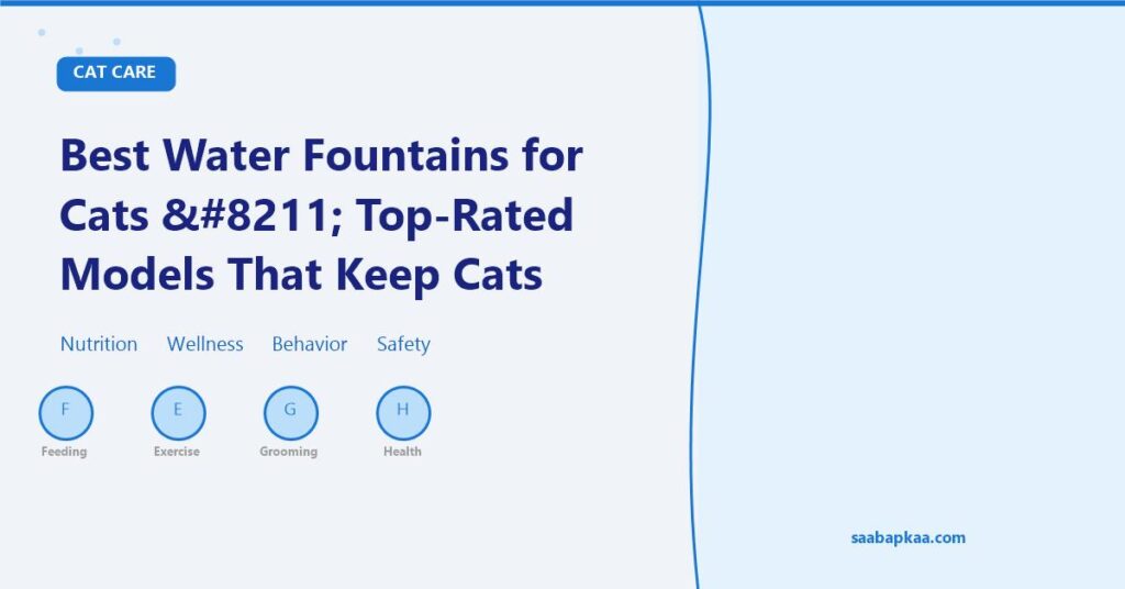 Best Water Fountains for Cats – Top-Rated Models That Keep Cats Hydrated - saabapkaa.com