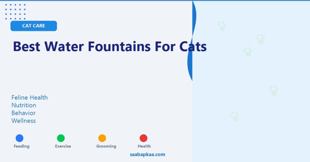 Best Water Fountains For Cats - saabapkaa.com