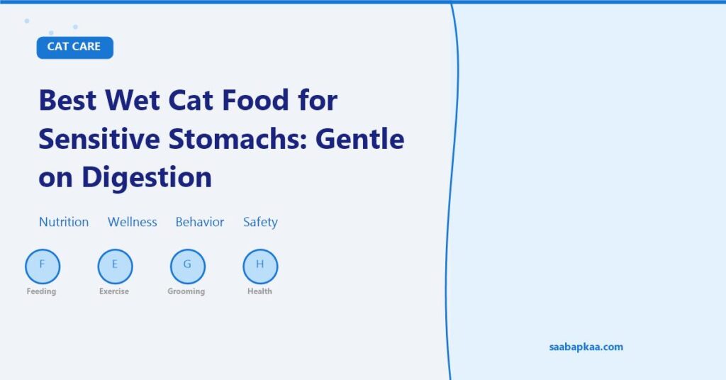 Best Wet Cat Food for Sensitive Stomachs: Gentle on Digestion - saabapkaa.com