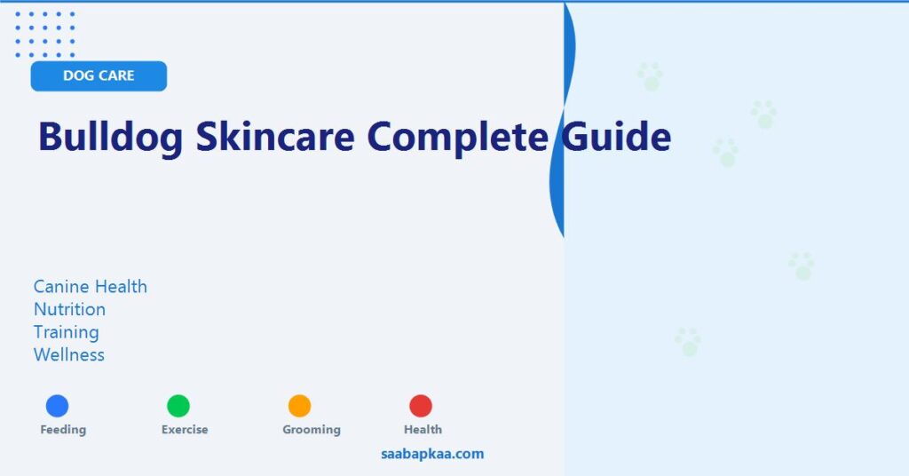 Bulldog Skincare Complete Guide - saabapkaa.com