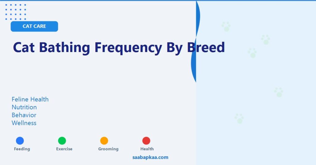 Cat Bathing Frequency By Breed - saabapkaa.com