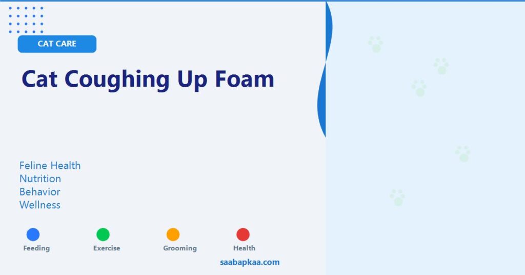 Cat Coughing Up Foam - saabapkaa.com