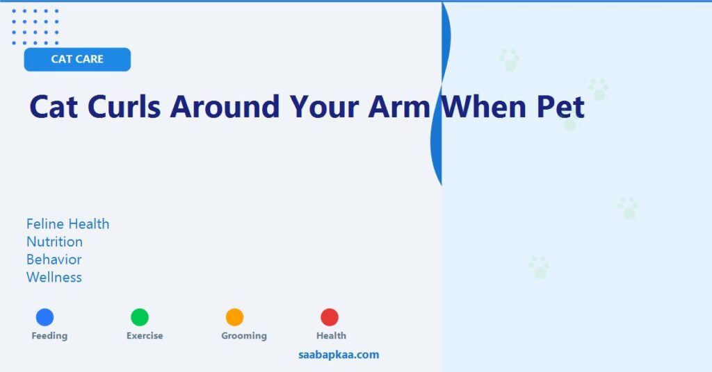 Cat Curls Around Your Arm When Pet - saabapkaa.com