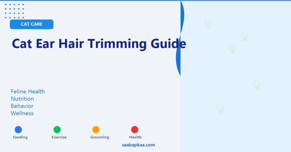 Cat Ear Hair Trimming Guide - saabapkaa.com
