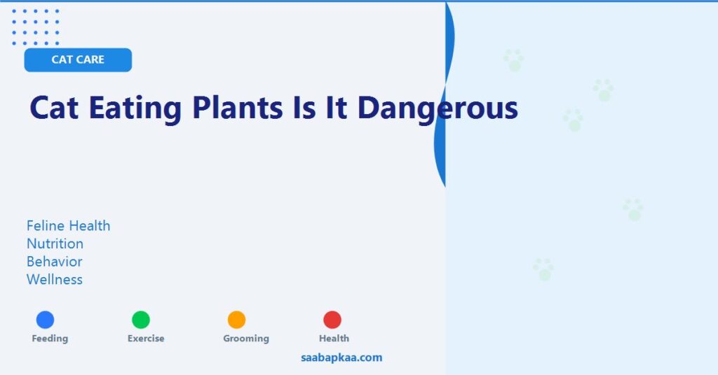 Cat Eating Plants Is It Dangerous - saabapkaa.com