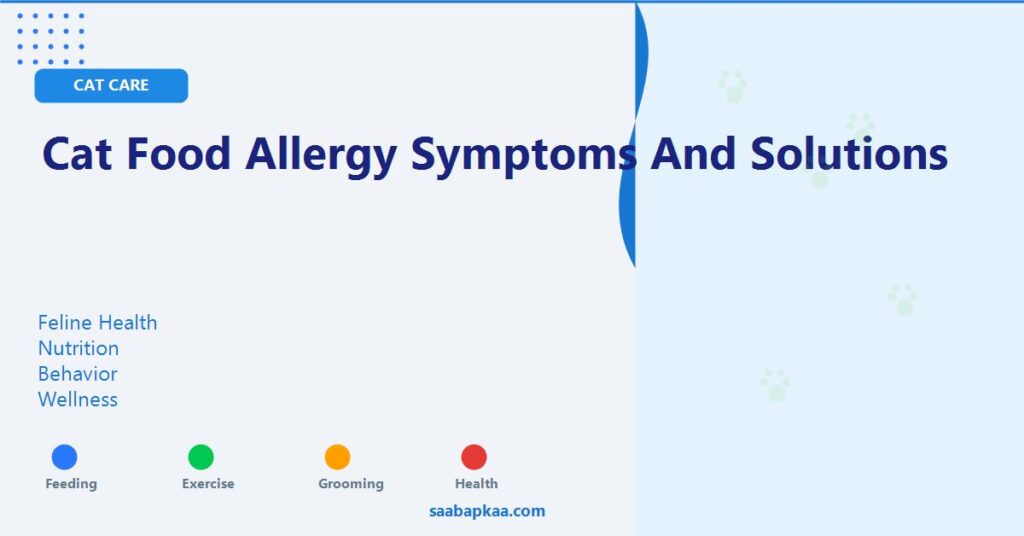 Cat Food Allergy Symptoms and Solutions - saabapkaa.com