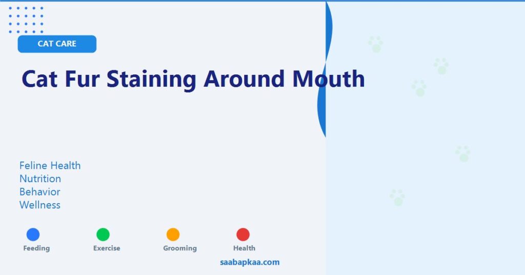 Cat Fur Staining Around Mouth - saabapkaa.com