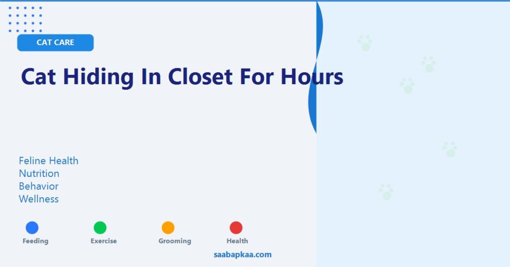 Cat Hiding In Closet For Hours - saabapkaa.com