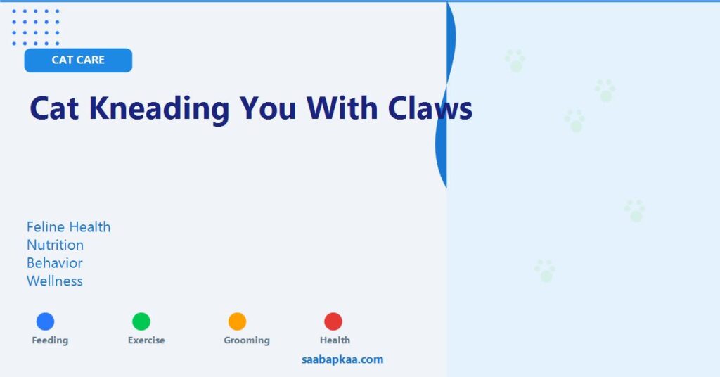Cat Kneading You With Claws - saabapkaa.com