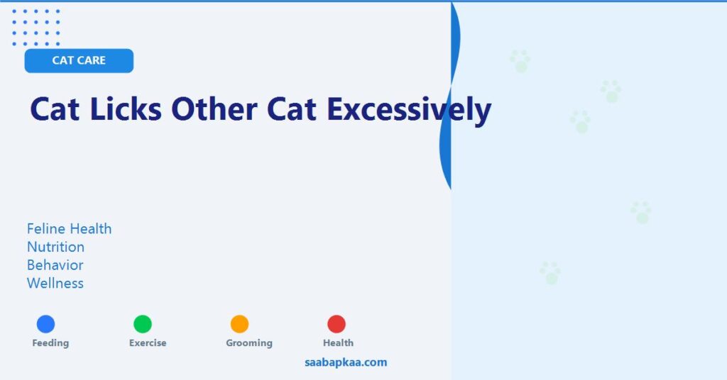 Cat Licks Other Cat Excessively - saabapkaa.com