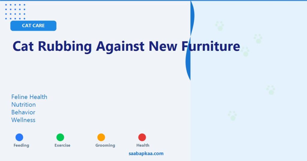 Cat Rubbing Against New Furniture - saabapkaa.com