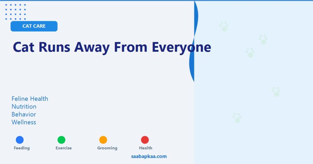 Cat Runs Away From Everyone - saabapkaa.com