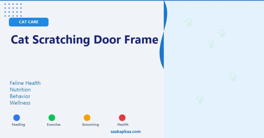 Cat Scratching Door Frame - saabapkaa.com