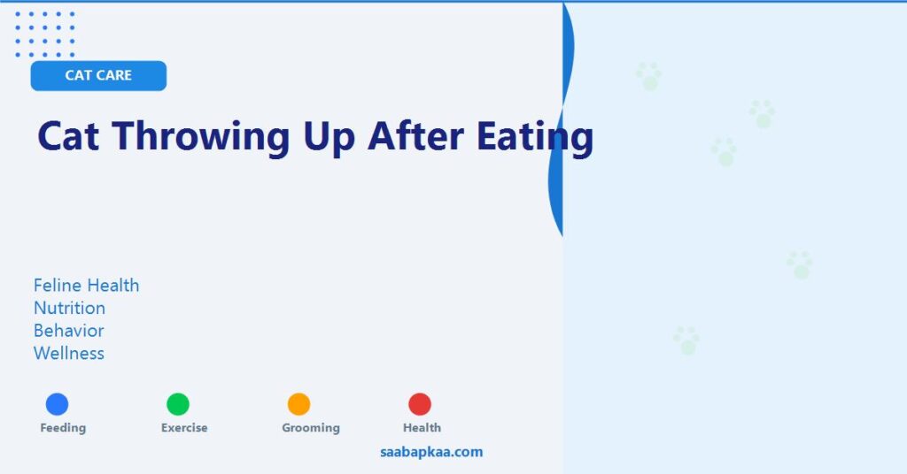 Cat Throwing Up After Eating - saabapkaa.com