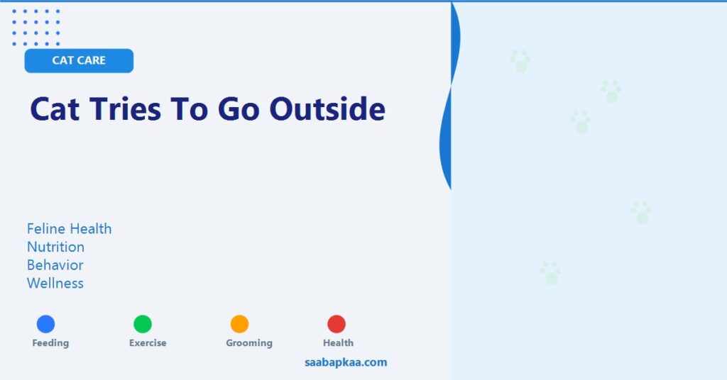 Cat Tries To Go Outside - saabapkaa.com