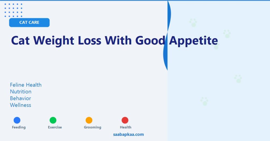 Cat Weight Loss With Good Appetite - saabapkaa.com