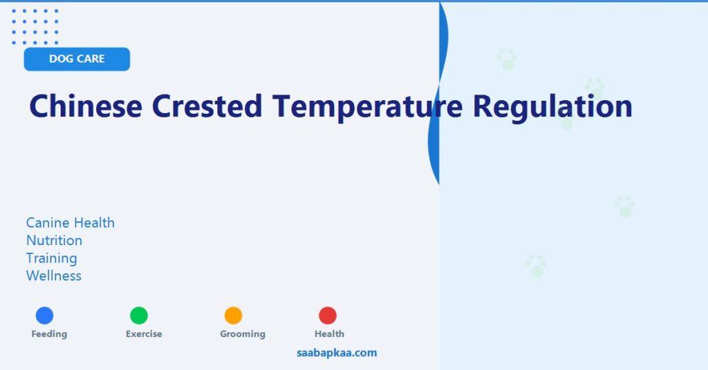 Chinese Crested Temperature Regulation - saabapkaa.com