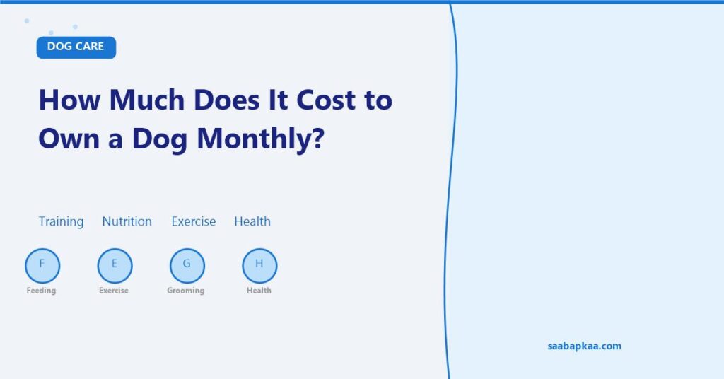 How Much Does It Cost to Own a Dog Monthly? - saabapkaa.com