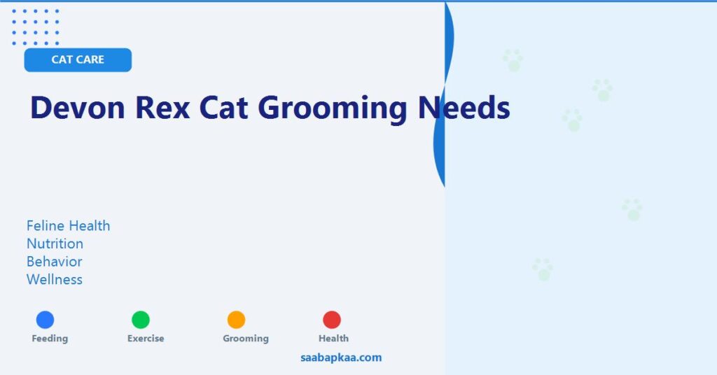 Devon Rex Cat Grooming Needs - saabapkaa.com