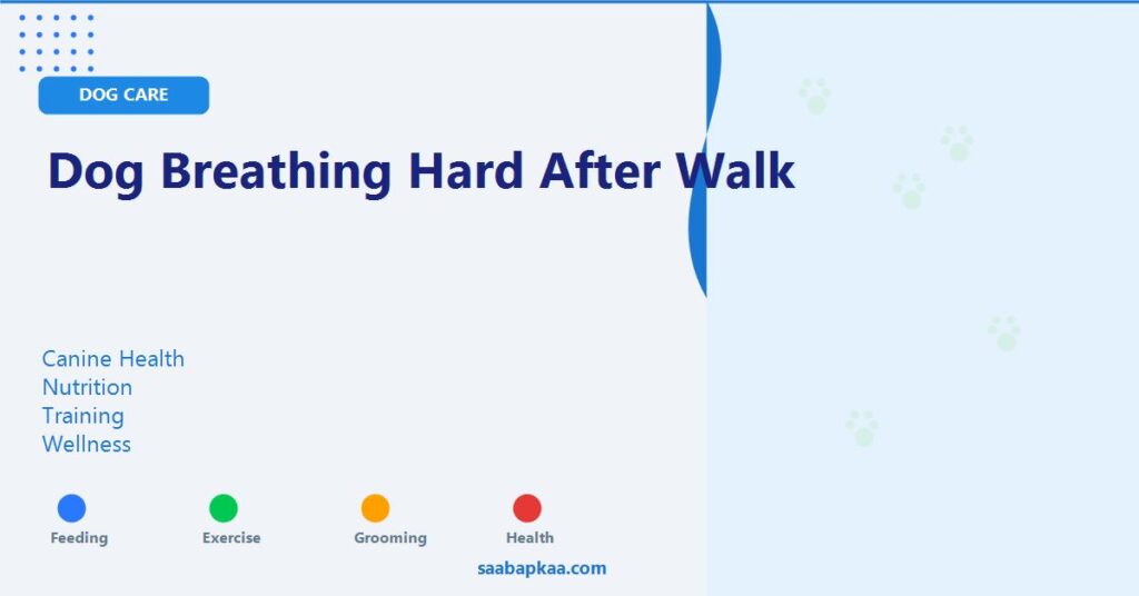 Dog Breathing Hard After Walk - saabapkaa.com