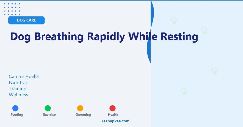 Dog Breathing Rapidly While Resting - saabapkaa.com