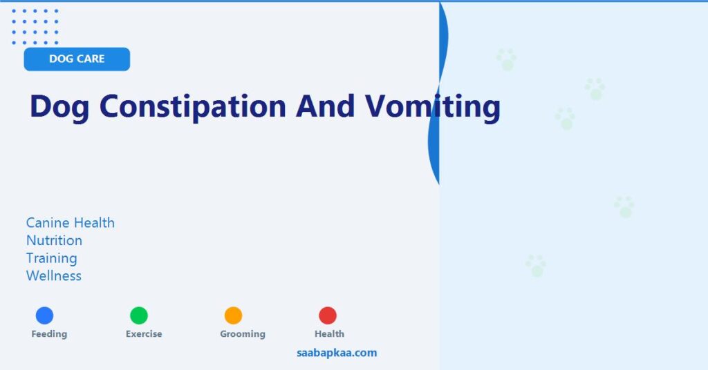 Dog Constipation and Vomiting - saabapkaa.com