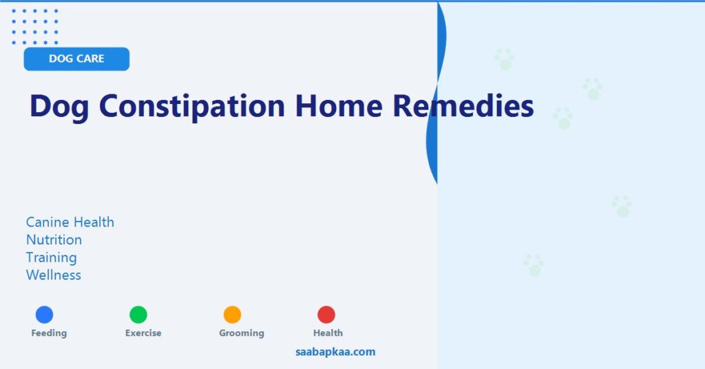 Dog Constipation Home Remedies - saabapkaa.com