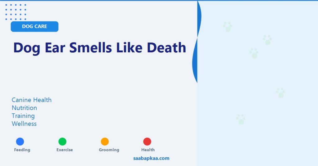 Dog Ear Smells Like Death - saabapkaa.com