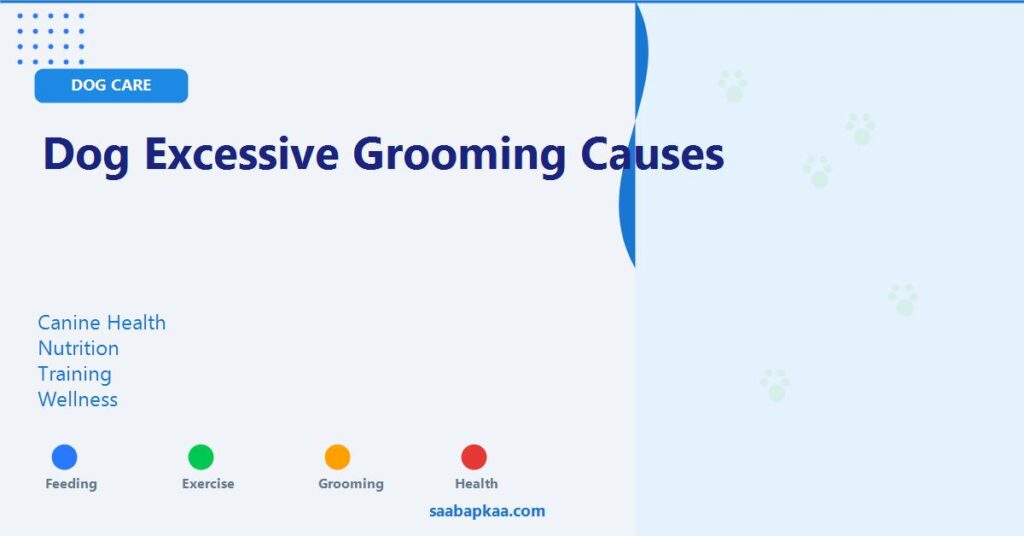 Dog Excessive Grooming Causes - saabapkaa.com