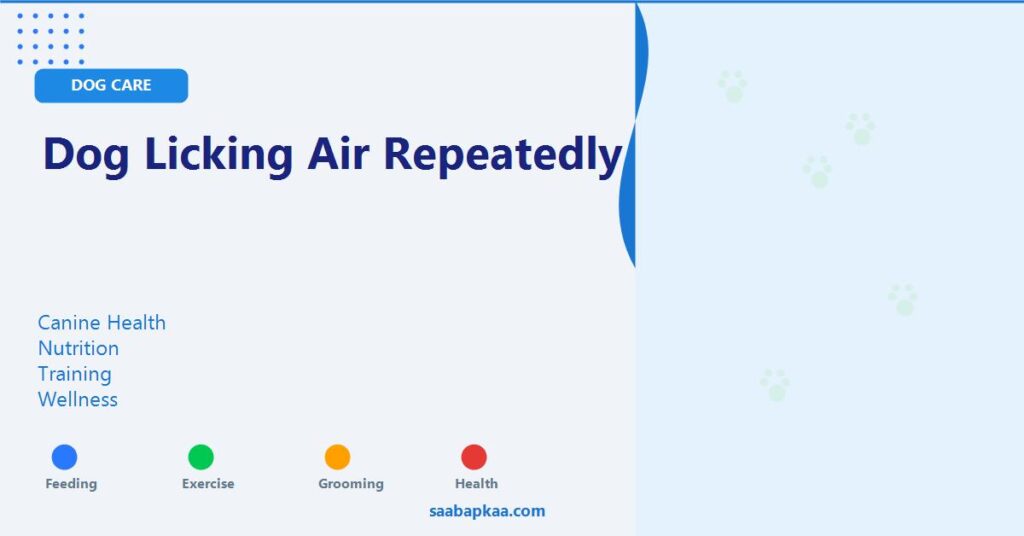 Dog Licking Air Repeatedly - saabapkaa.com