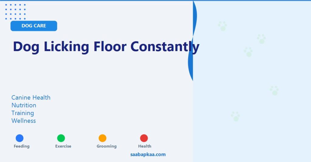 Dog Licking Floor Constantly - saabapkaa.com