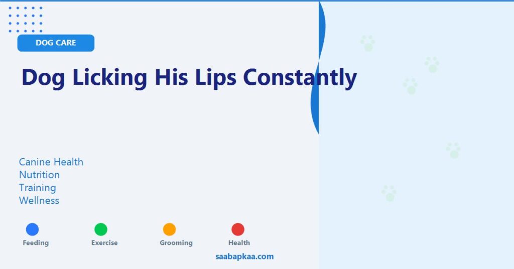 Dog Licking His Lips Constantly - saabapkaa.com